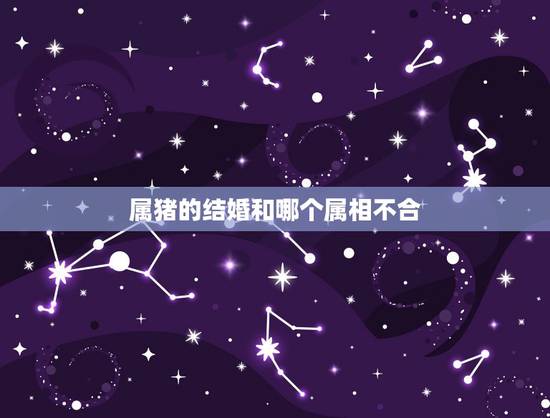 属猪的结婚和哪个属相不合,属猪的女孩不能和什么属相的结婚? 属猪的结婚和哪个属相不合,属猪的女孩不能和什么属相的结婚?