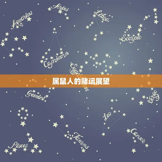 属鼠人的赌运展望 属鼠人的赌运展望