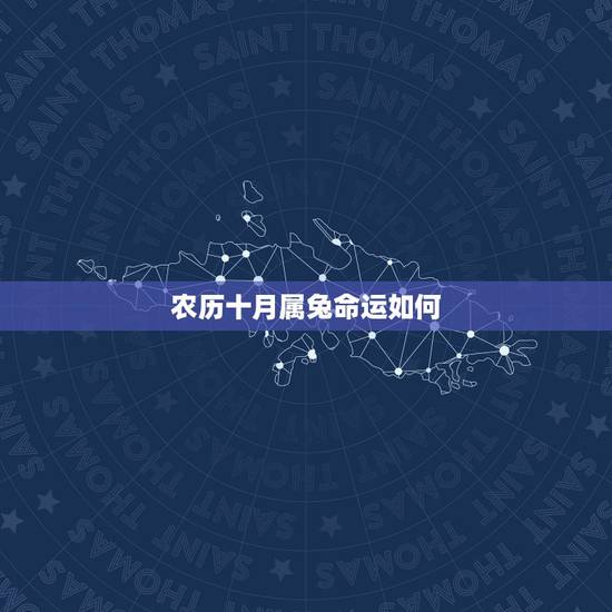 农历十月属兔命运如何，属兔2022 年运势及运程