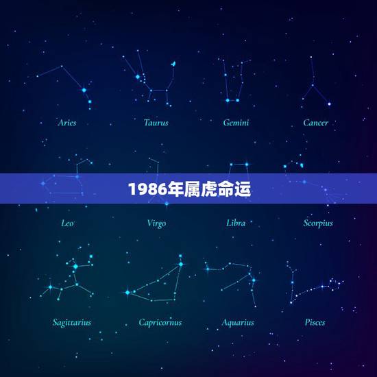 1986年属虎命运,1986属虎一生三大劫难 1986年属虎命运,1986属虎一生三大劫难