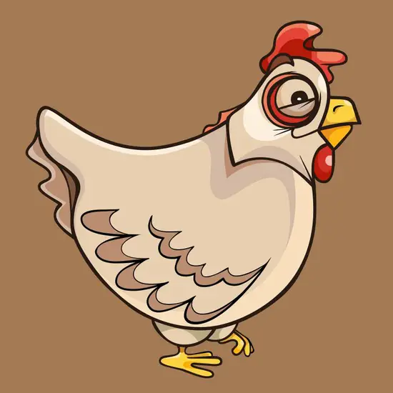 属鸡的人和什么属相相克(十二生肖相克大揭秘)