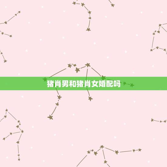 猪肖男和猪肖女婚配吗，男方属猪的和女方什么生肖是最合适的，请各位指点
