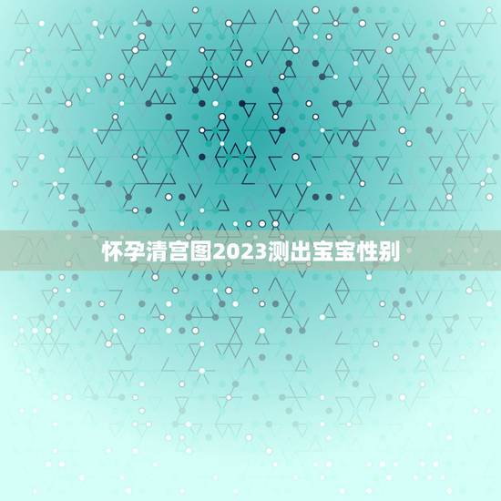 怀孕清宫图2023测出宝宝性别，2023的清宫图生男生女准吗