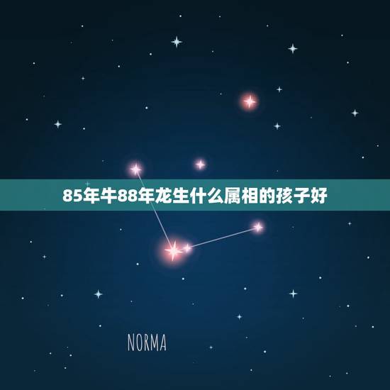 85年牛88年龙生什么属相的孩子好，老公85年牛，我88年龙，女儿12