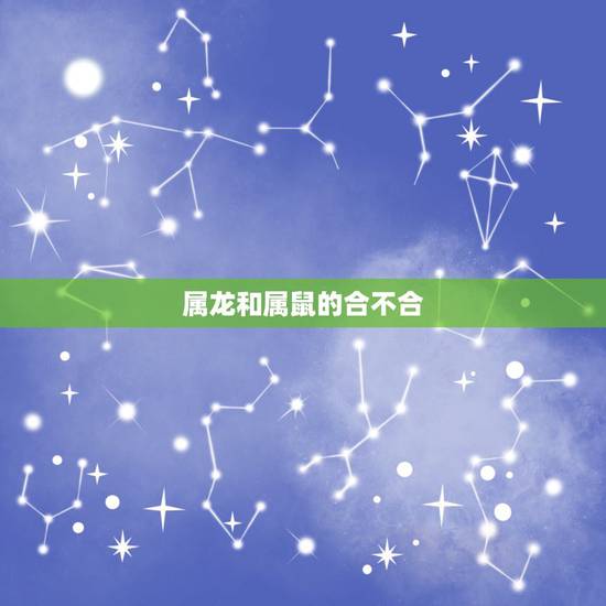 属龙和属鼠的合不合,属龙和属鼠能在一起吗 属龙和属鼠的合不合,属龙和属鼠能在一起吗