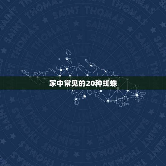 家中常见的20种蜘蛛 农村常见的大蜘蛛 家中常见的20种蜘蛛 农村常见的大蜘蛛