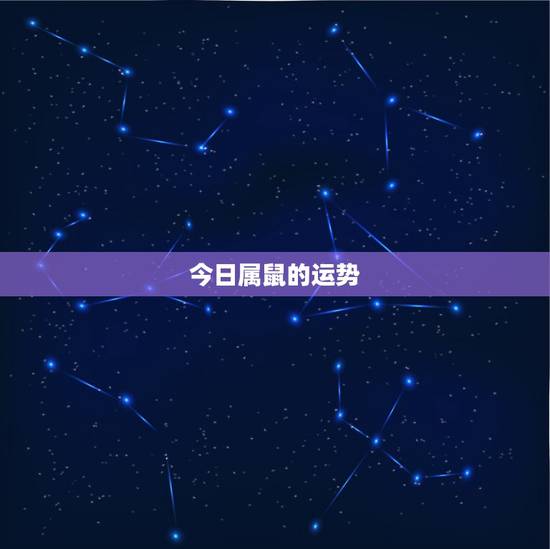 今日属鼠的运势，属鼠的今年的运势如何