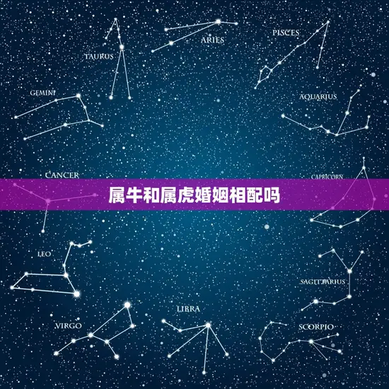 属牛和属虎婚姻相配吗 属牛和属虎婚姻相配吗