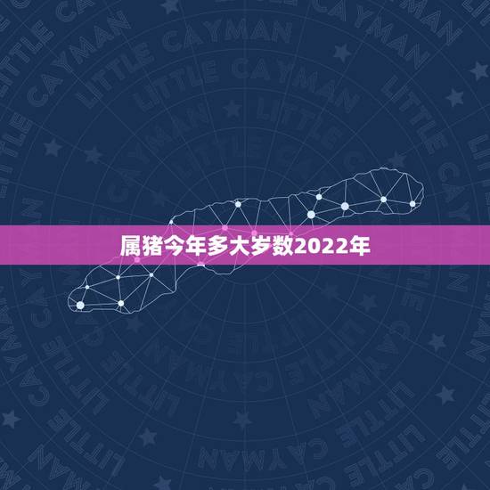 属猪今年多大岁数2022年,2022 生肖表图片高清 属猪今年多大岁数2022年,2022 生肖表图片高清