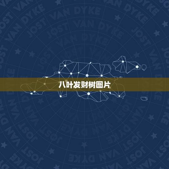 八叶发财树图片,发财树根部长出一个大球已经出土面挺高了,怎么回事啊? 八叶发财树图片,发财树根部长出一个大球已经出土面挺高了,怎么回事啊?