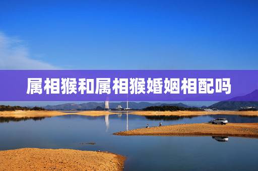 属相猴和属相猴婚姻相配吗，属猴的生肖婚配表 属猴的和什么属相最配？