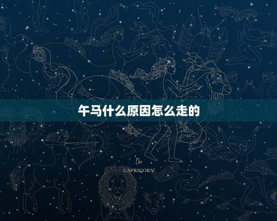 午马什么原因怎么走的，午马是什么走的