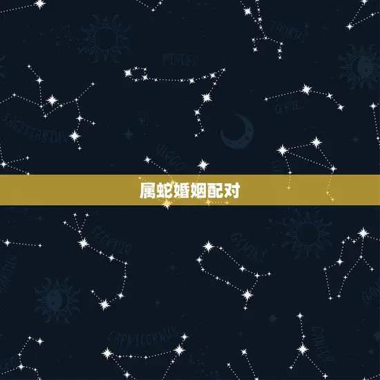 属蛇婚姻配对 属蛇婚姻配对