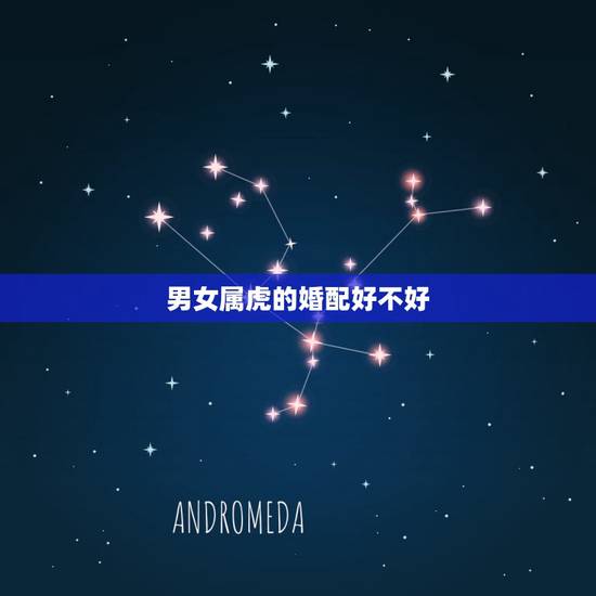 男女属虎的婚配好不好,属虎的属相婚配表 男女属虎的和什么属相最配 男女属虎的婚配好不好,属虎的属相婚配表 男女属虎的和什么属相最配