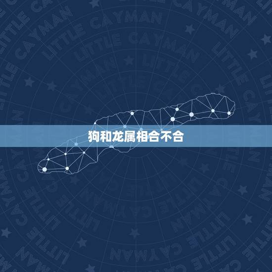 狗和龙属相合不合，属龙和属狗可以做夫妻吗？