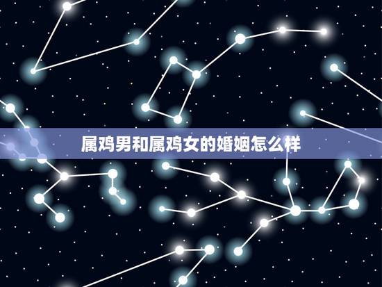 属鸡男和属鸡女的婚姻怎么样，属鸡男和属马女的婚姻