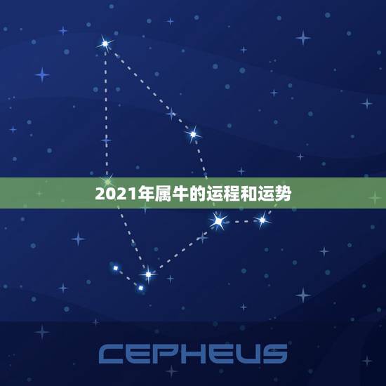 2021年属牛的运程和运势，2021年牛年运势