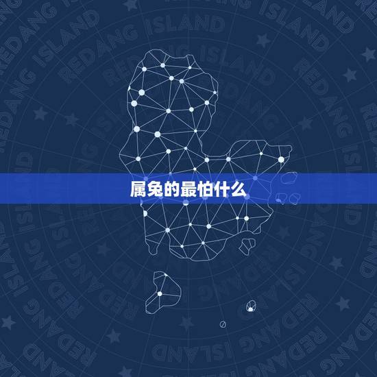 属兔的最怕什么，属兔带什么吊坠