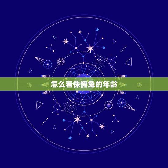 怎么看侏儒兔的年龄,垂耳兔和侏儒兔哪个好 怎么看侏儒兔的年龄,垂耳兔和侏儒兔哪个好