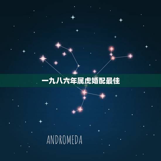 一九八六年属虎婚配最佳,一九七八年属马的和一九八六年属虎2015年的婚 一九八六年属虎婚配最佳,一九七八年属马的和一九八六年属虎2015年的婚