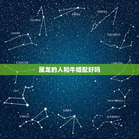 属龙的人和牛婚配好吗，大龙和牛婚配怎么样