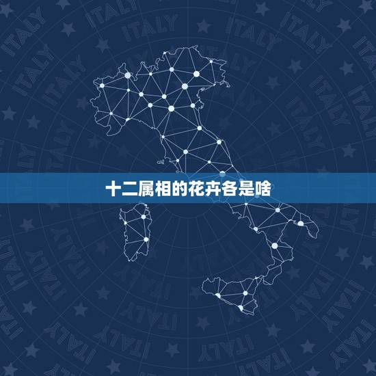 十二属相的花卉各是啥,十二星座代表的花各是什么? 十二属相的花卉各是啥,十二星座代表的花各是什么?