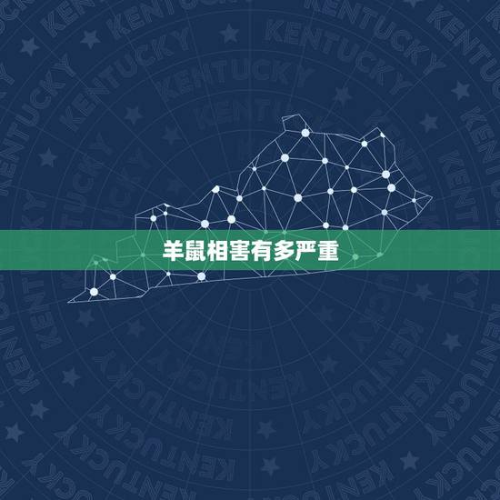羊鼠相害有多严重,鼠和羊谁会克死对方 羊鼠相害有多严重,鼠和羊谁会克死对方