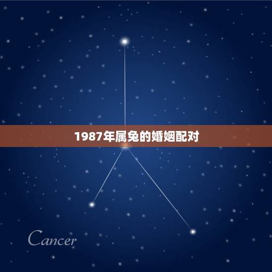 1987年属兔的婚姻配对,1987年属兔人2022 年运势运程 1987年属兔的婚姻配对,1987年属兔人2022 年运势运程