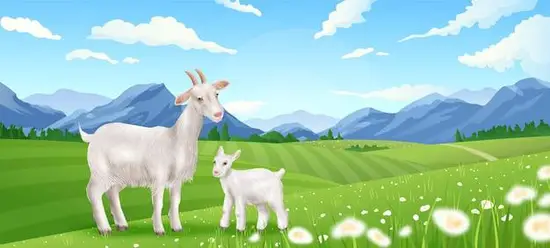 白羊座爱上一个人会怎么样(热情奔放勇往直前) 白羊座爱上一个人会怎么样(热情奔放勇往直前)