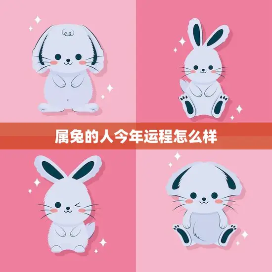 属兔的人今年运程怎么样(2023年属兔人运势大揭秘) 属兔的人今年运程怎么样(2023年属兔人运势大揭秘)
