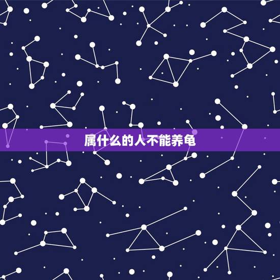 属什么的人不能养龟，属鼠的人能养乌龟吗