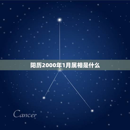 阳历2000年1月属相是什么，阳历2000年01月01日出生得人是属龙