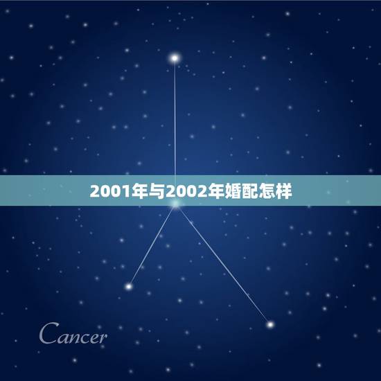 2001年与2002年婚配怎样,2001年和2002年结婚相合吗? 2001年与2002年婚配怎样,2001年和2002年结婚相合吗?