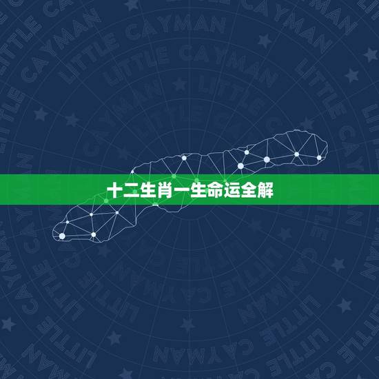 十二生肖一生命运全解,属龙生肖一生的命运 十二生肖一生命运全解,属龙生肖一生的命运
