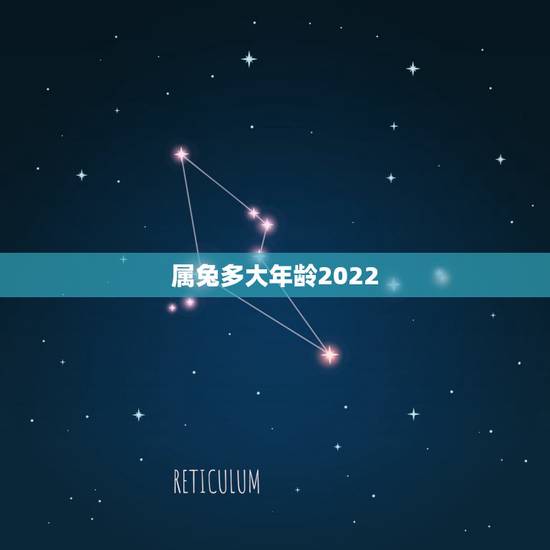 属兔多大年龄2022，2022 年属兔的年龄