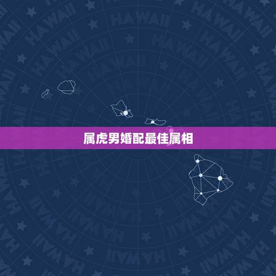 属虎男婚配最佳属相,男属虎最佳婚配属相 属虎男婚配最佳属相,男属虎最佳婚配属相