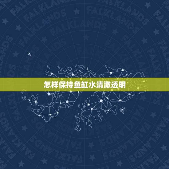 怎样保持鱼缸水清澈透明，鱼缸水浑浊怎样快速解决？