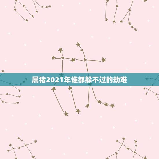属猪2021年谁都躲不过的劫难,属猪的2021年有灾是真是假? 属猪2021年谁都躲不过的劫难,属猪的2021年有灾是真是假?