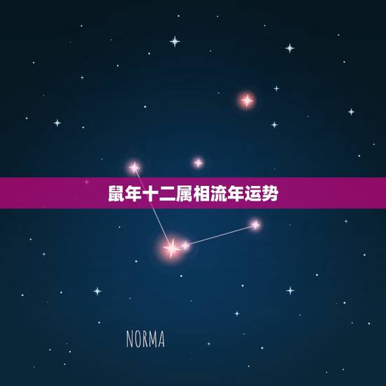 鼠年十二属相流年运势,2021年生肖鼠的全年运势 鼠年十二属相流年运势,2021年生肖鼠的全年运势