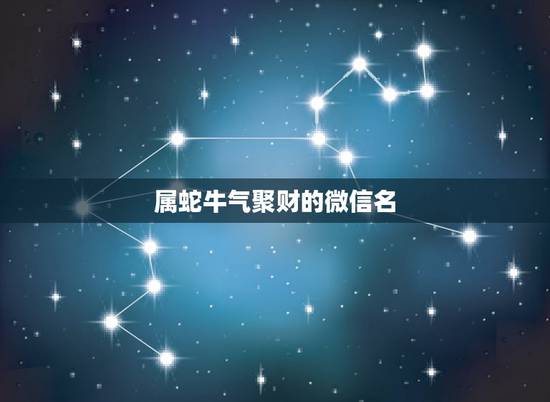 属蛇牛气聚财的微信名，属蛇的吉利微信名字