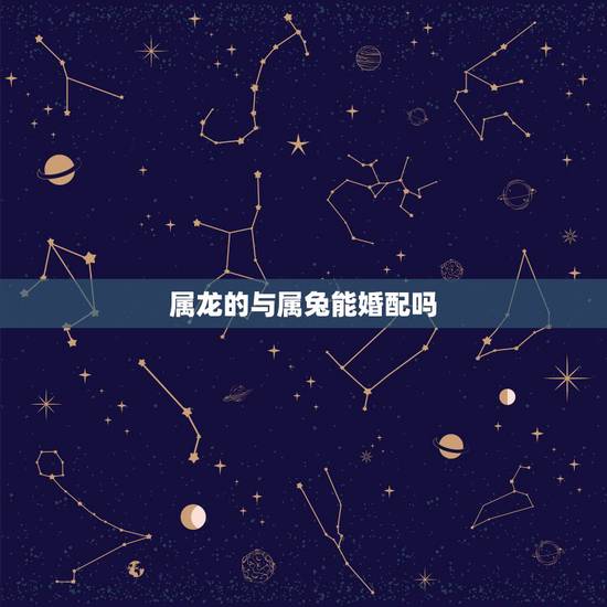 属龙的与属兔能婚配吗，属兔和什么属相犯冲