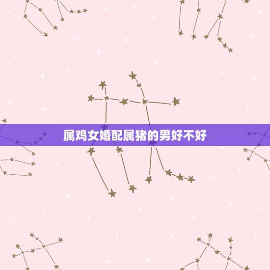 属鸡女婚配属猪的男好不好，男属鸡女属猪婚配怎么样