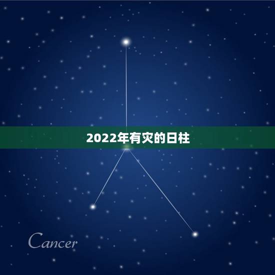 2022年有灾的日柱,辛酉日柱精论 2022年有灾的日柱,辛酉日柱精论