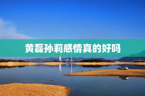 黄磊孙莉感情真的好吗,感觉孙莉不怎么爱黄磊,黄磊孙莉曾经分手半 黄磊孙莉感情真的好吗,感觉孙莉不怎么爱黄磊,黄磊孙莉曾经分手半