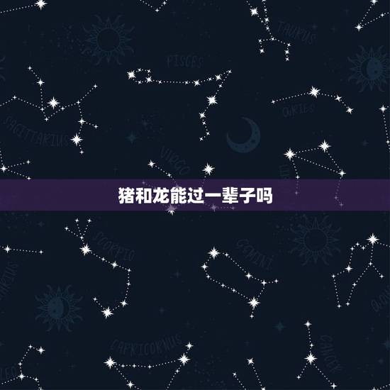 猪和龙能过一辈子吗,dp龙猪个人资料 猪和龙能过一辈子吗,dp龙猪个人资料