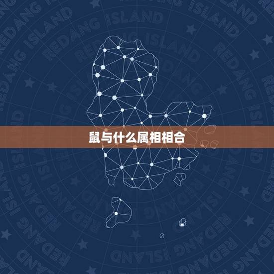 鼠与什么属相相合,属鼠的人和什么属相合 鼠与什么属相相合,属鼠的人和什么属相合