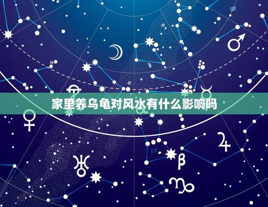 家里养乌龟对风水有什么影响吗，个人家养乌龟在风水上或者方面有什么不