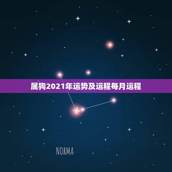 属狗2021年运势及运程每月运程，狗年出生的人2021年运程每月运势