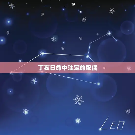 丁亥日命中注定的配偶