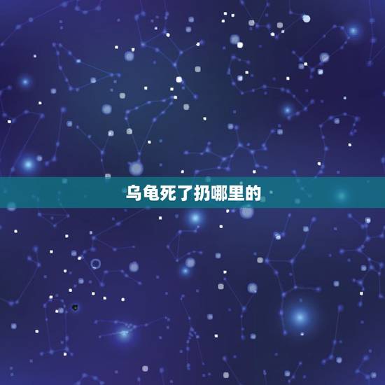 乌龟死了扔哪里的，乌龟死了可以扔掉吗